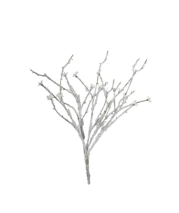 10078